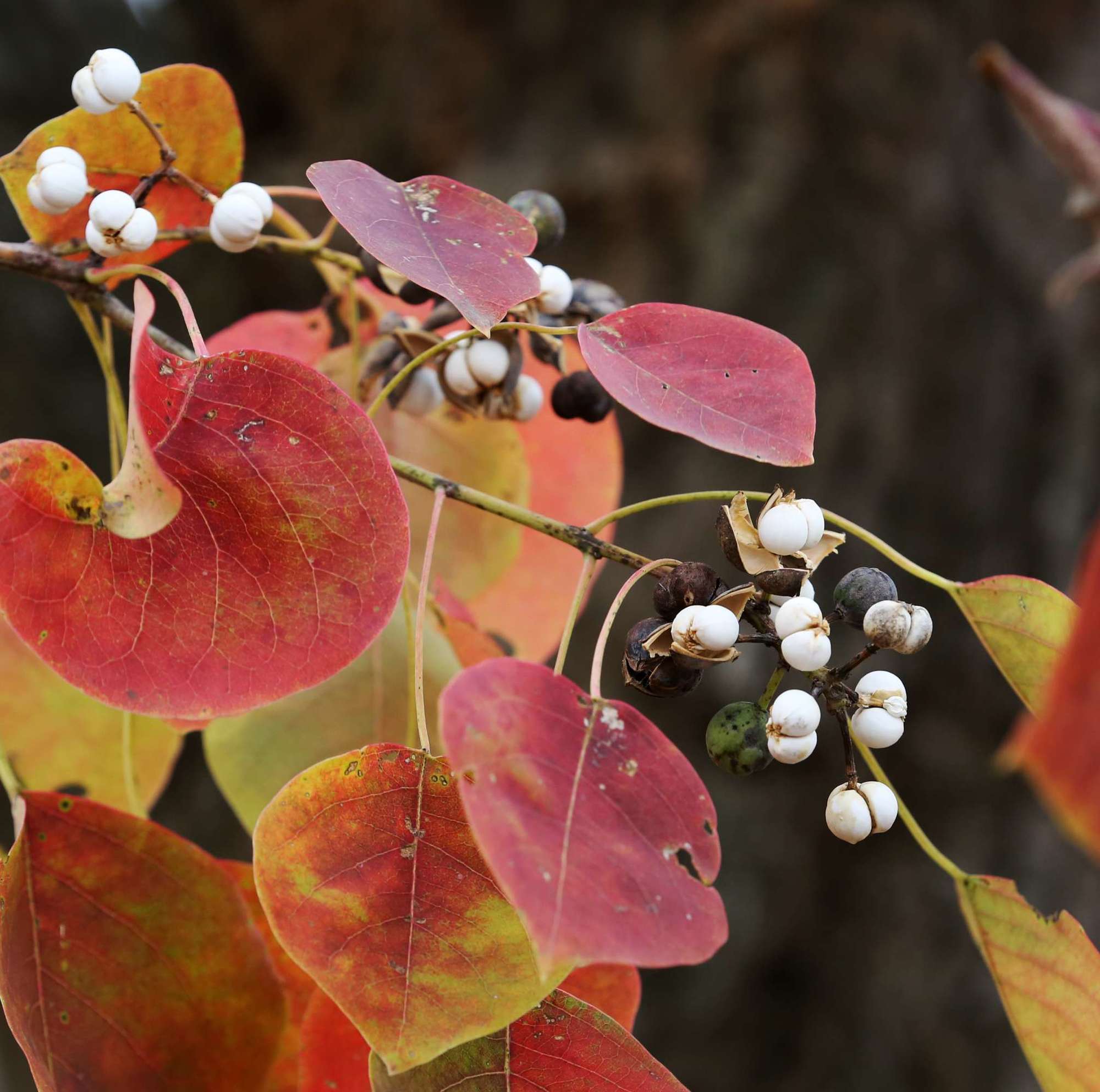 鈭瀀3xckwt1ztoa2da鈭-爱游戏平台